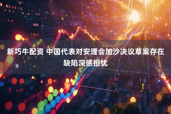 新巧牛配资 中国代表对安理会加沙决议草案存在缺陷深感担忧