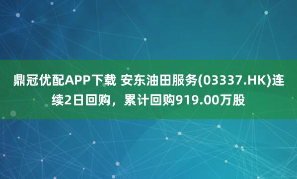 鼎冠优配APP下载 安东油田服务(03337.HK)连续2日回购,累计回购919.00万股